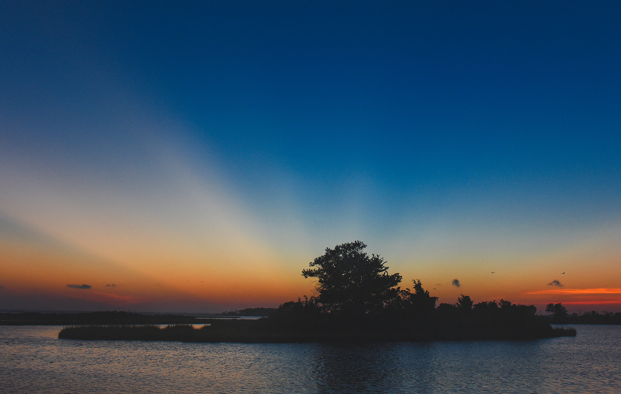 sunset-chingo-3
